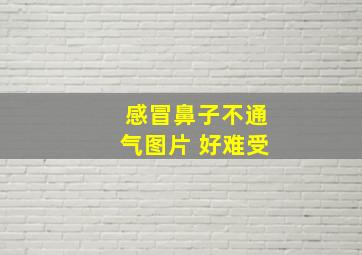 感冒鼻子不通气图片 好难受